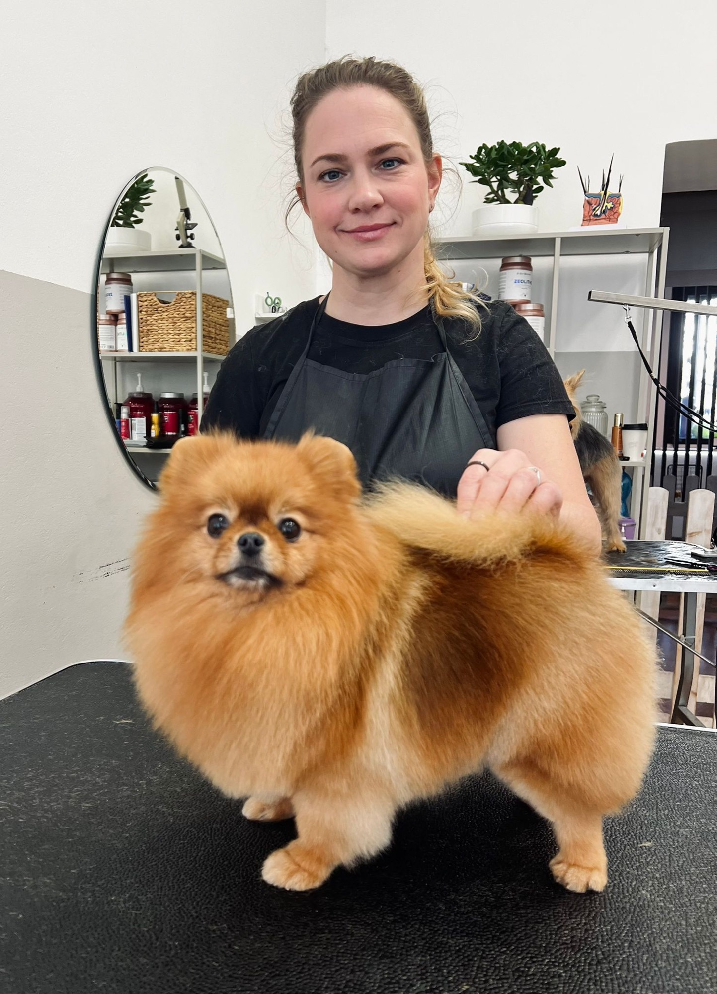 Pavla s upraveným pomeranským špicem